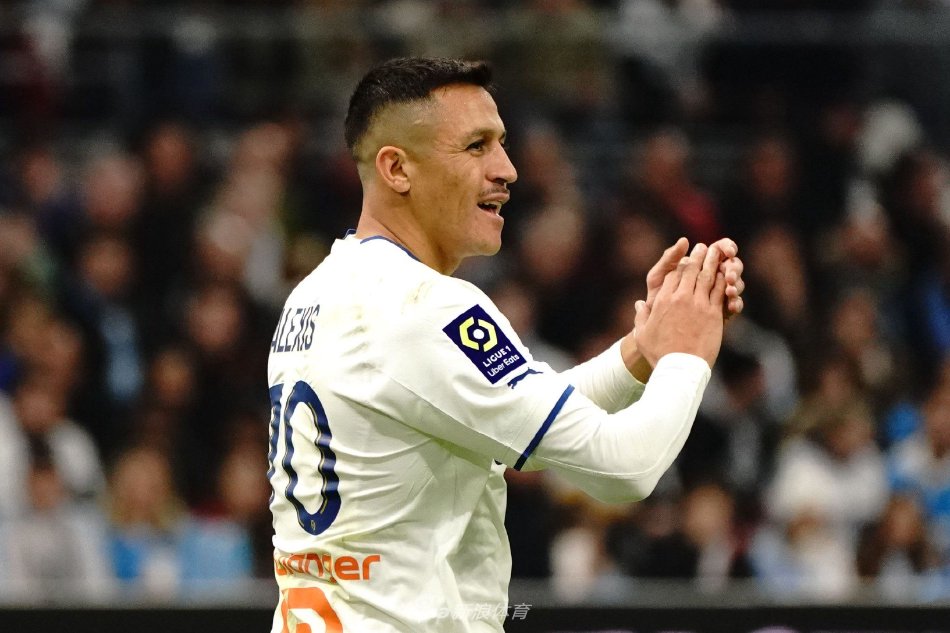 的组合有望 的组合有望