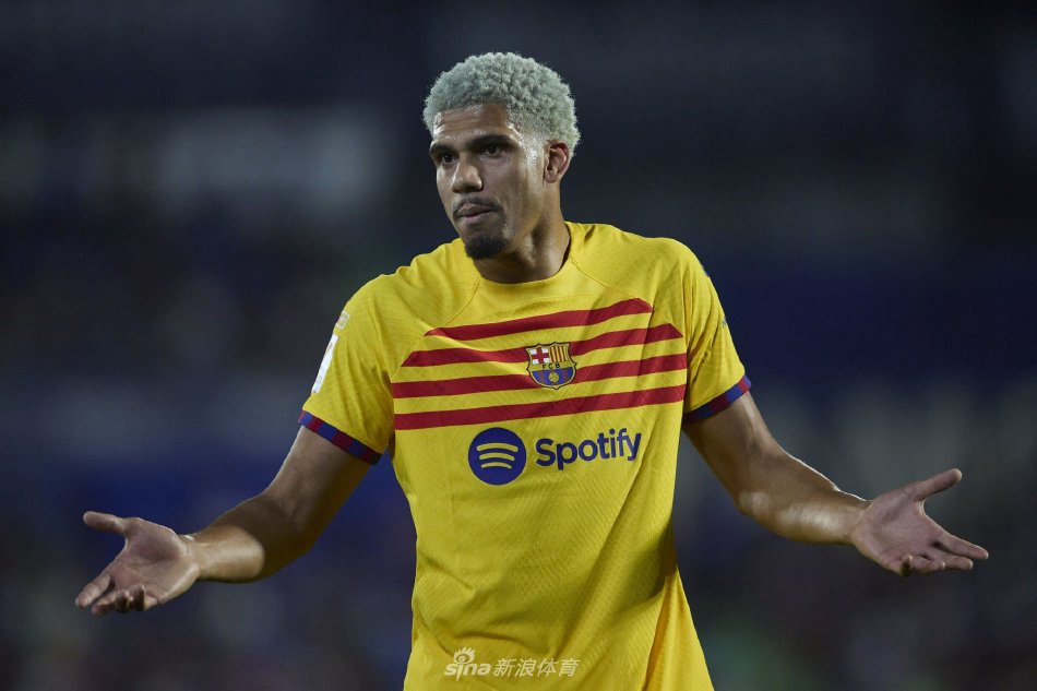 雪项目中 雪项目中